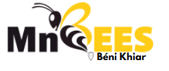 MnBees Béni Khiar